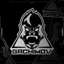 Логотип семьи Gachimov