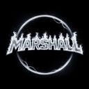 Логотип семьи Marshall