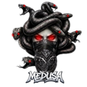 Логотип семьи MEDUSA