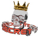 Логотип семьи SECRET