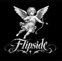 Логотип семьи Flipside